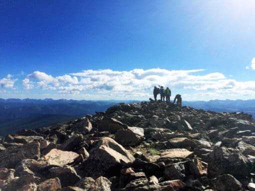 Trekking the Colorado Rockies With a Llama | Artful Living ...