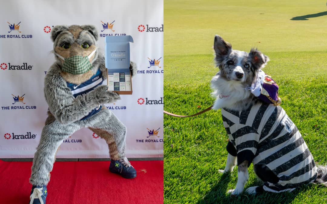 Royal Dog Day was a Royal Success