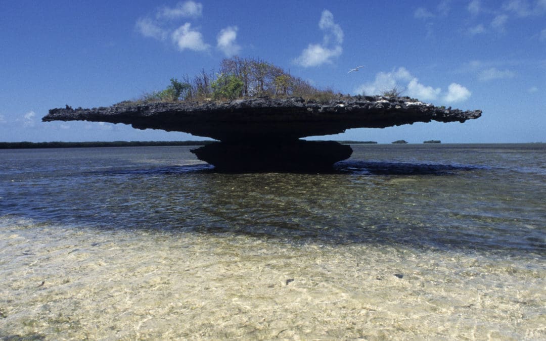 7 Unsung Natural Wonders of the World: Aldabra Atoll
