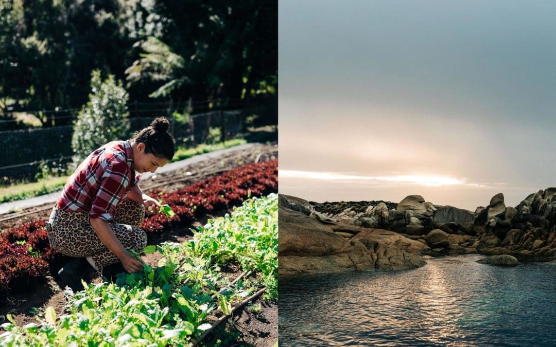 Inside Chef Analiese Gregory’s Untamed Tasmanian Life