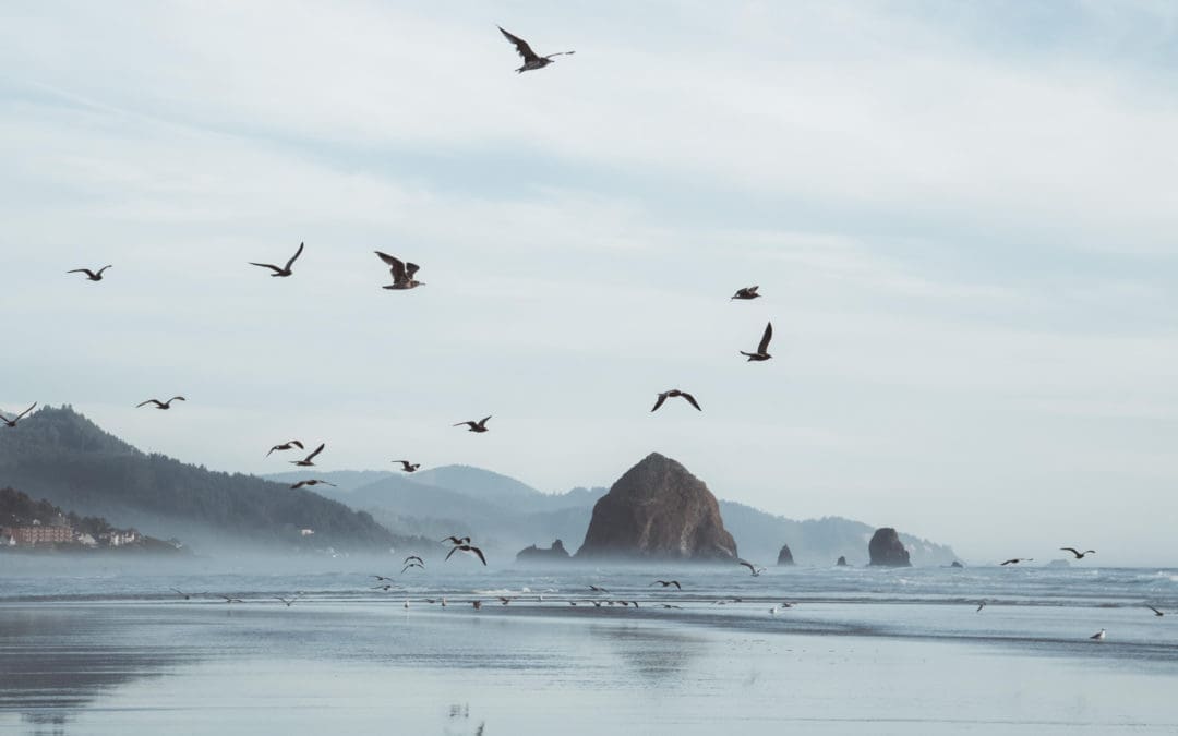 Inside Photographer Victoria Campbell’s Road Trip Across America