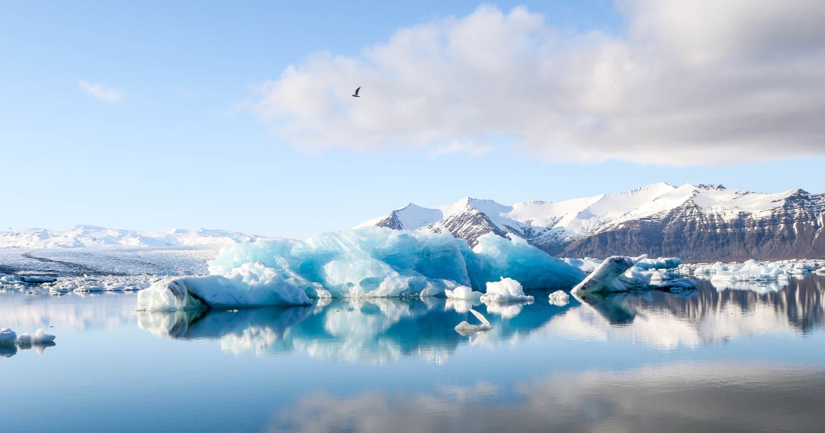 We Tried It Wim Hof’s 20Day Cold Shower Challenge Artful Living