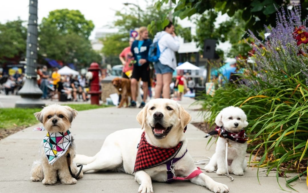 Don’t Miss: Linden Hills Woofstock 2021