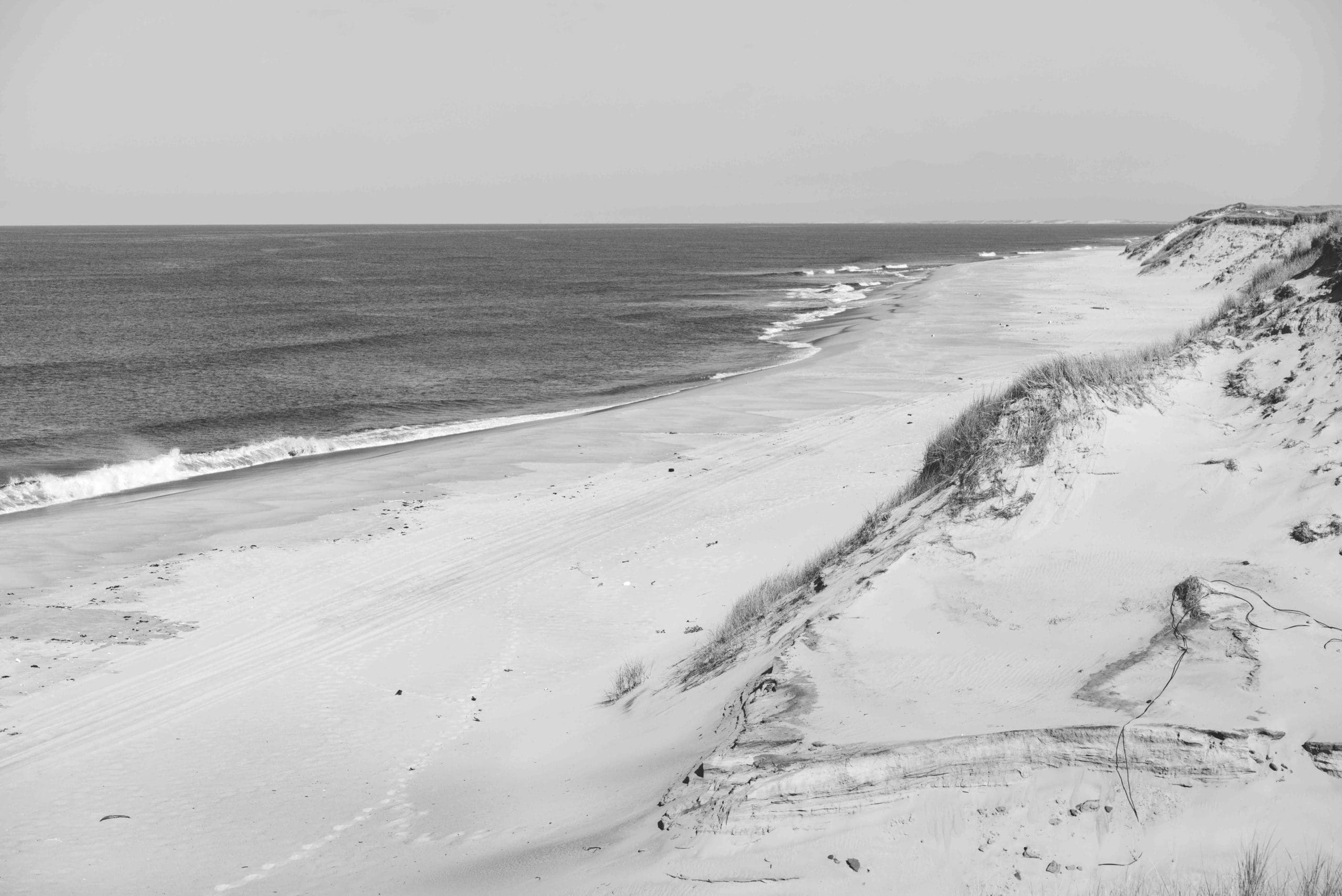 Artful Living | Sable Island