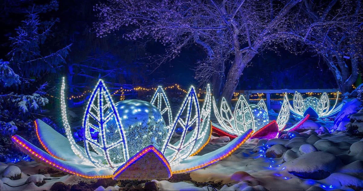 5 Must-See Holiday Light Displays Across Minnesota | Artful Living Magazine