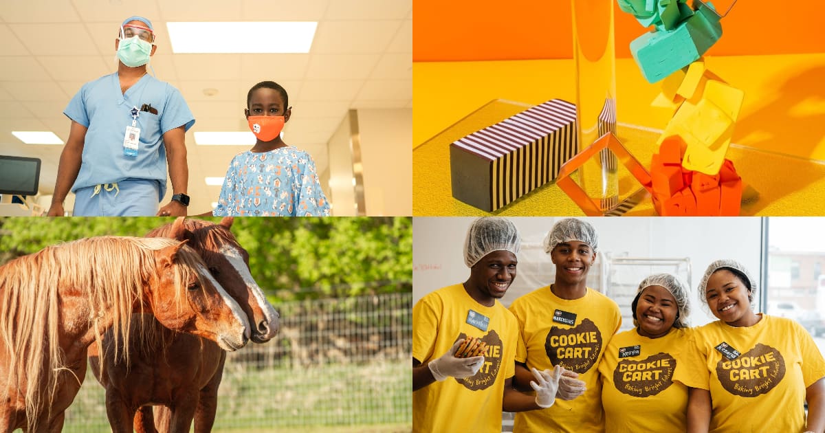 10 Minnesota Nonprofits to Support this Spring Artful Living Magazine