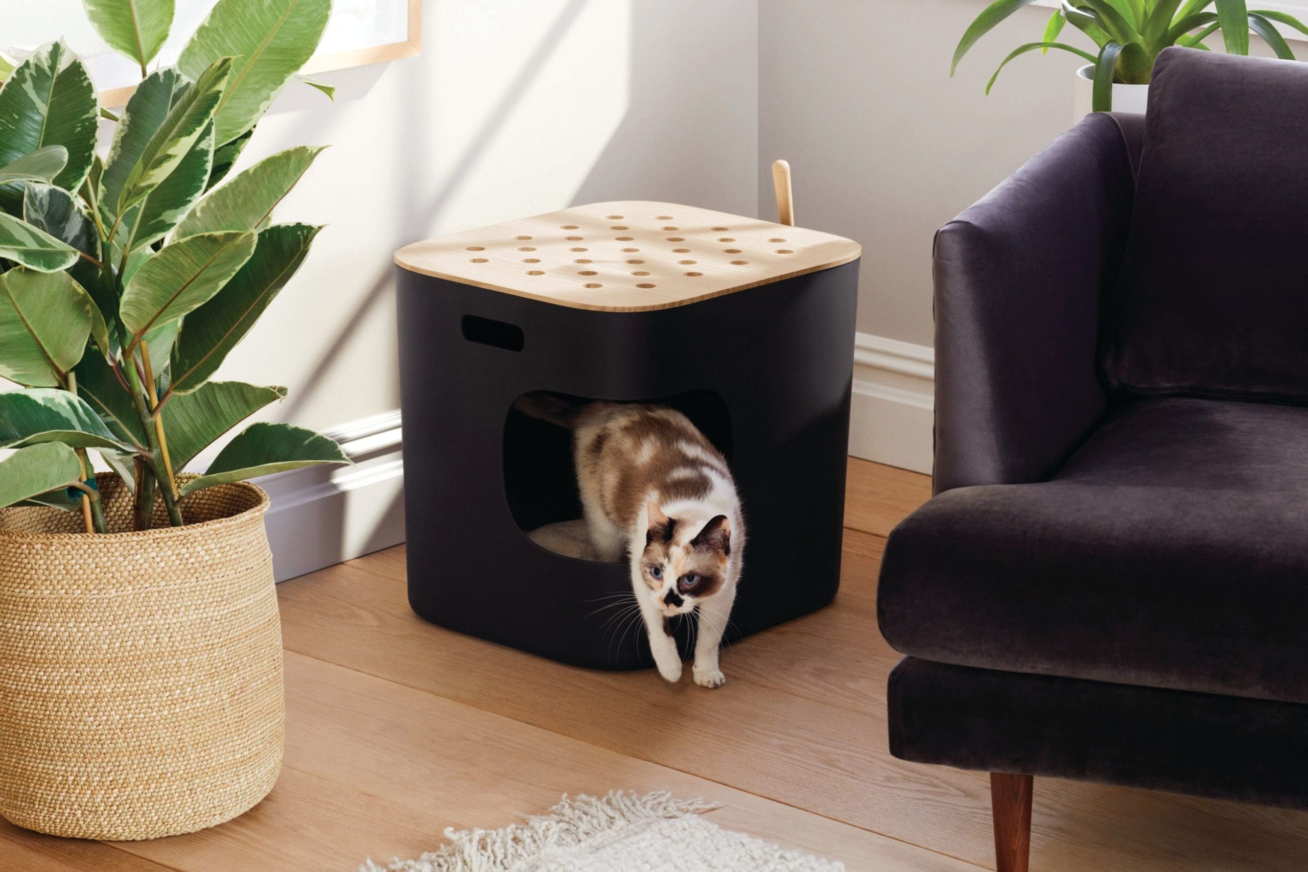 Artful Living | Barkitecture Trend