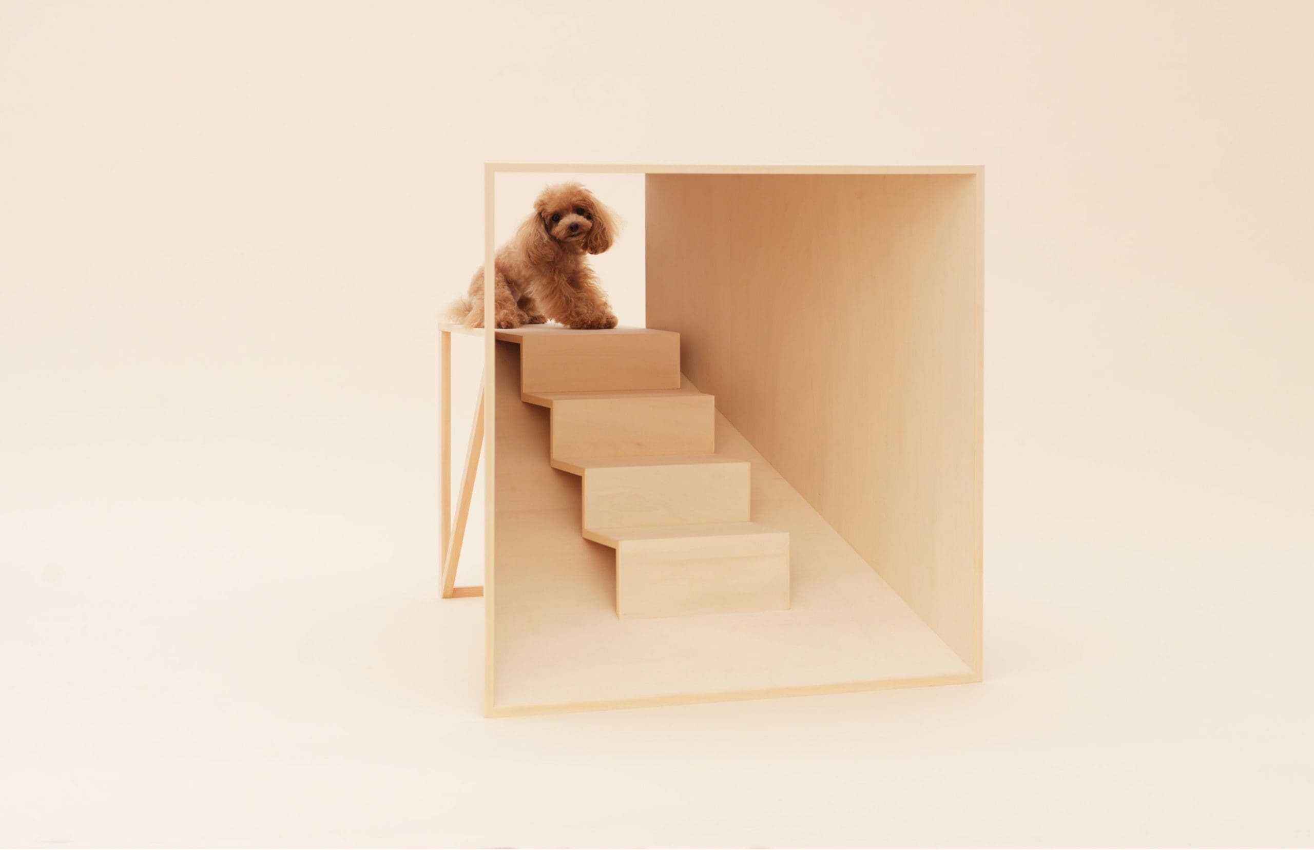 Artful Living | Barkitecture Trend