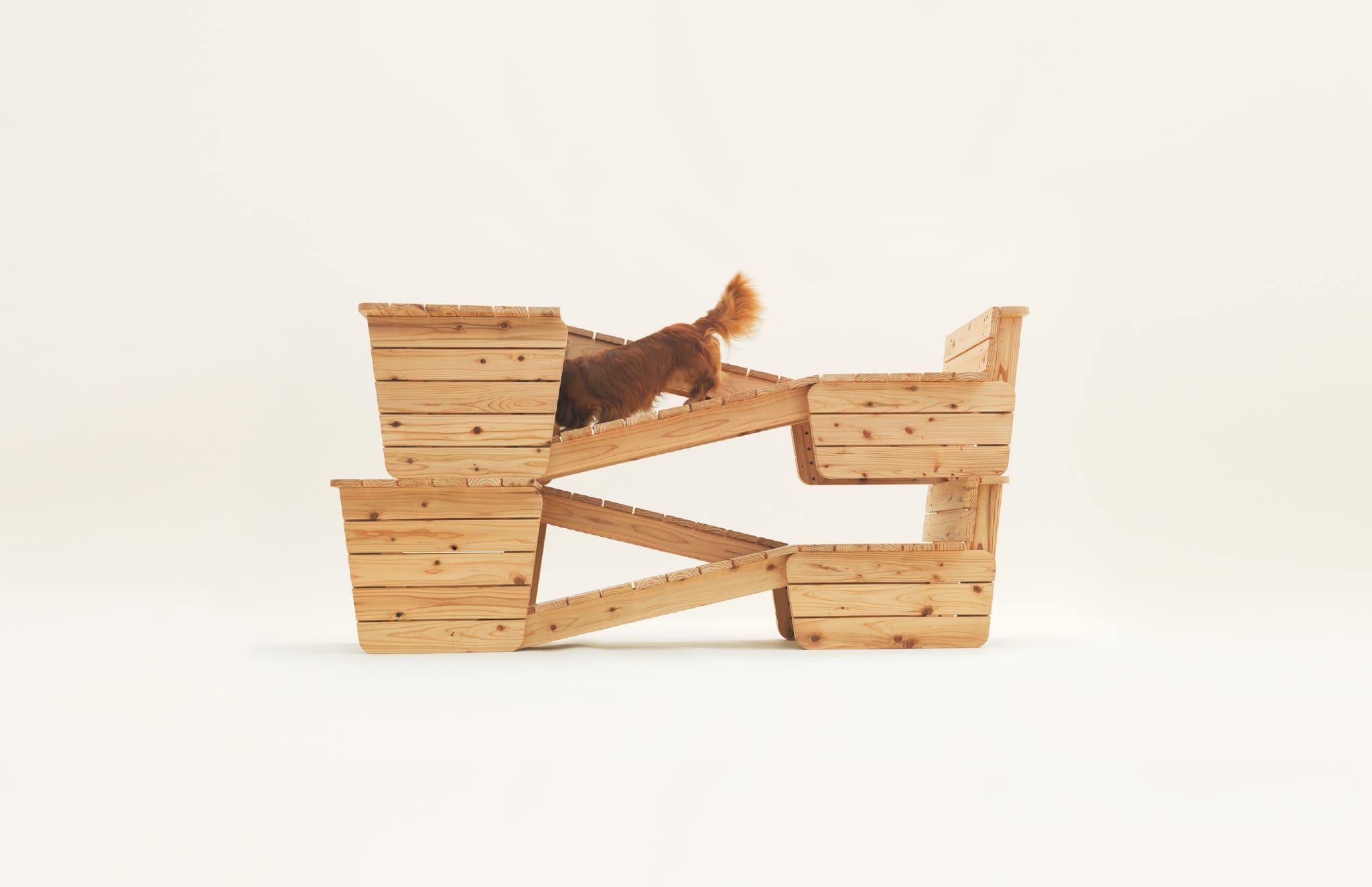 Artful Living | Barkitecture Trend