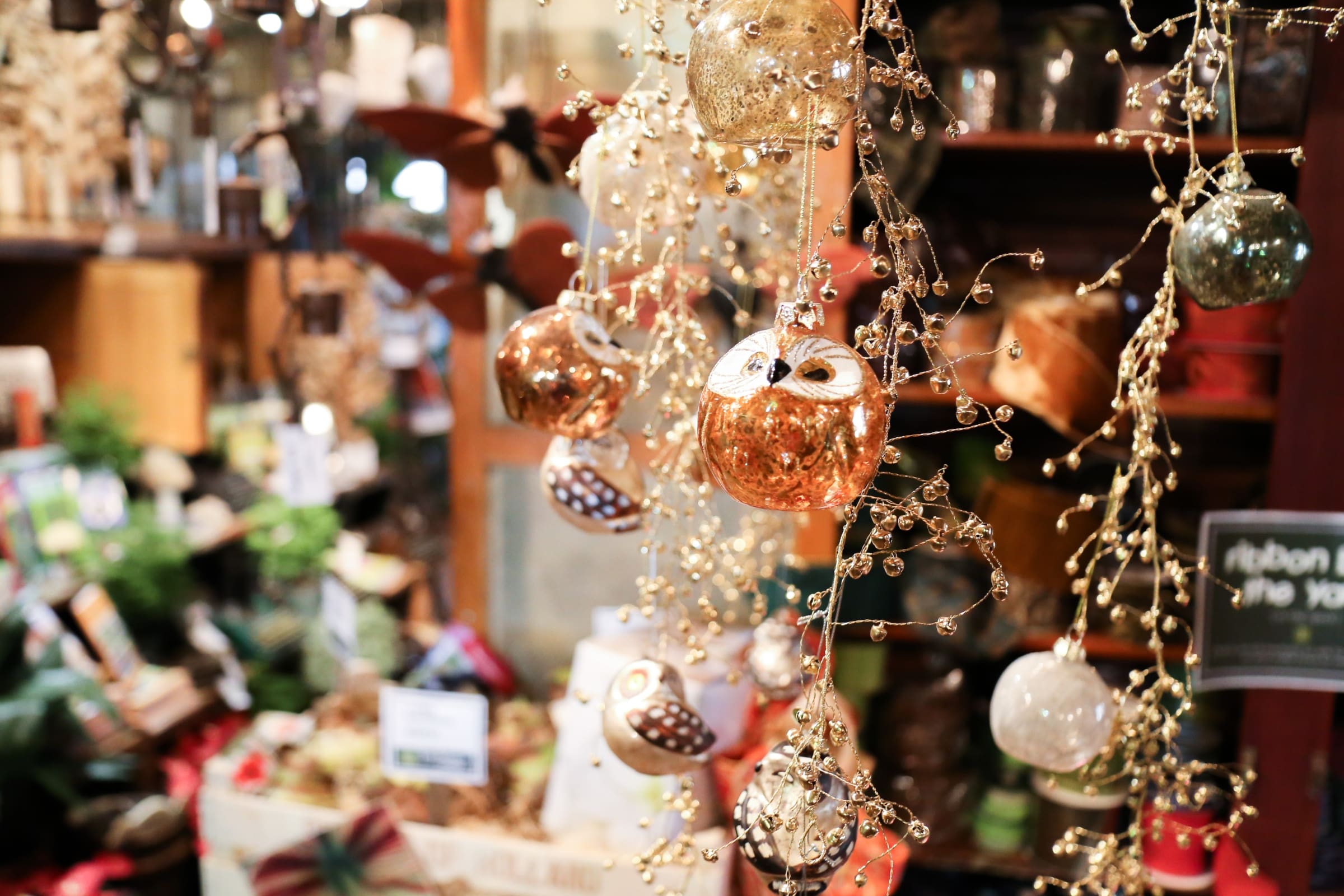 Artful Living | The Best Ways to Shop Tangletown Gardens This Winter