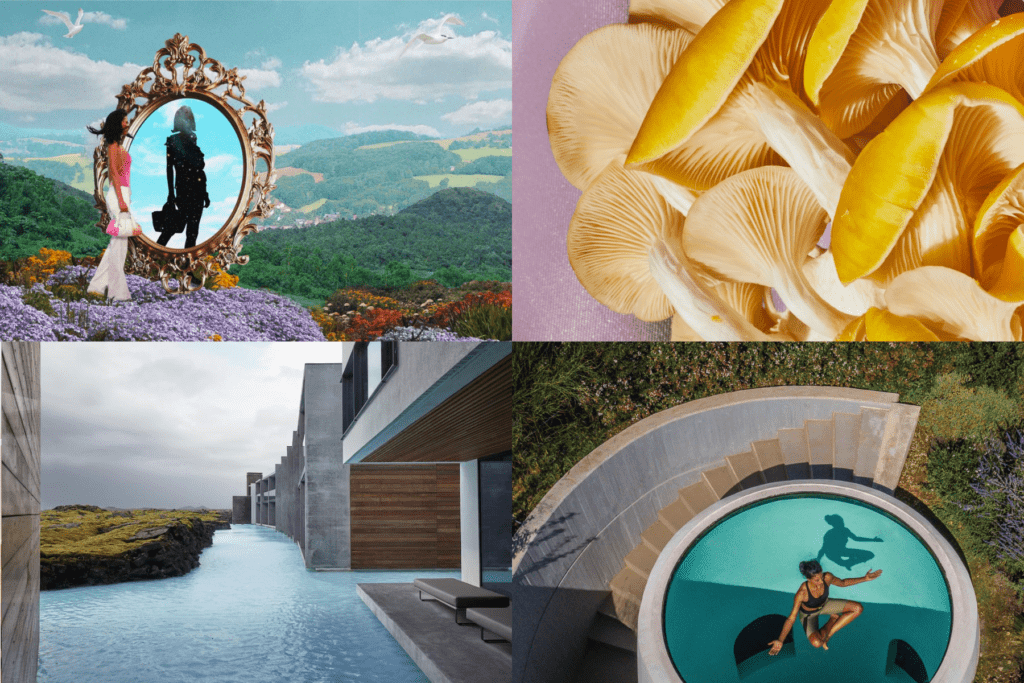 Artful Living | Artful Living’s Top 10 Wellness Stories of All Time