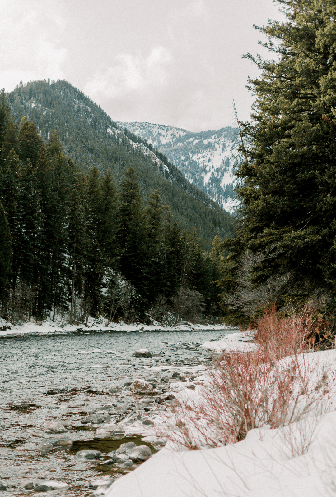 Artful Living | Inside Laura Schara's Winter Fly-Fishing Mountain Adventure