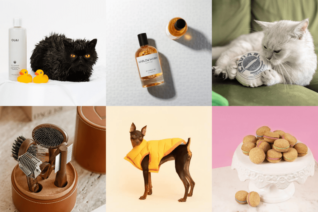 Treat Your Furry Friend to These Top Luxury Pet Accessories