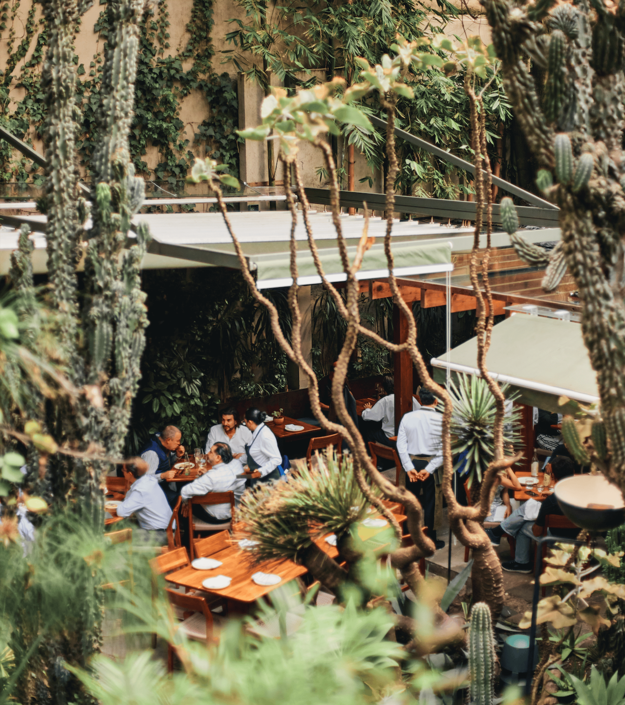 Artful Living | Artful Living City Guide: Mexico City
