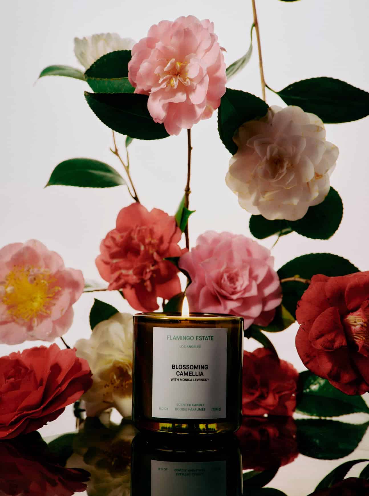 Artful Living | How Monica Lewinsky is Currently Keeping Her Chill and Giving Back