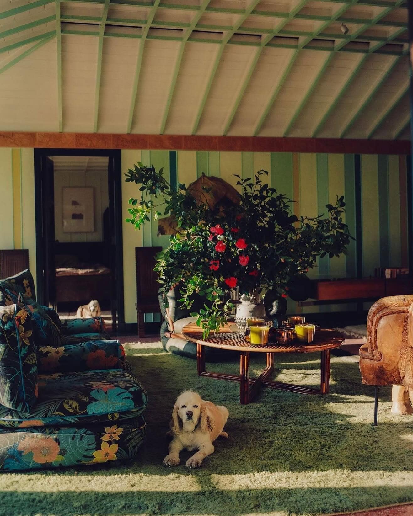 Artful Living | How Monica Lewinsky is Currently Keeping Her Chill and Giving Back