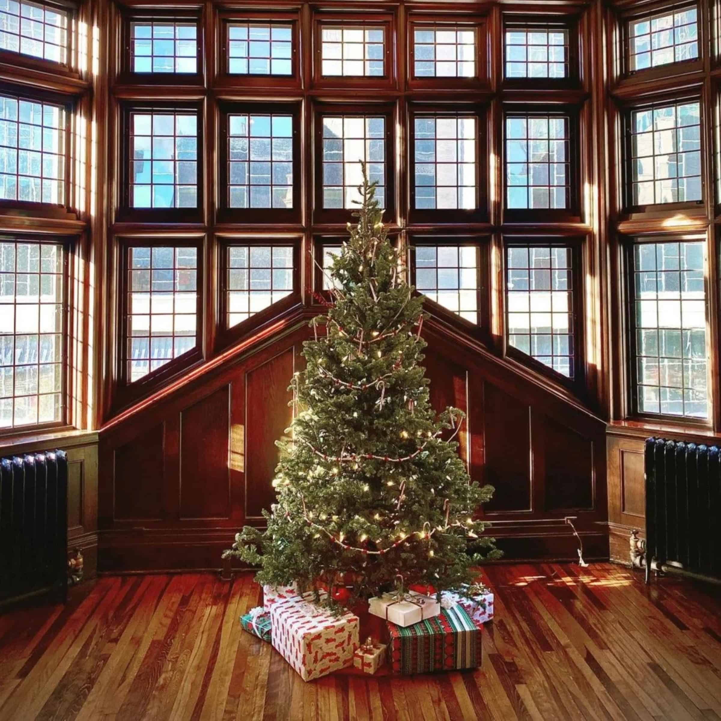 Artful Living | The Top Can’t-Miss Holiday Happenings Across the Twin Cities