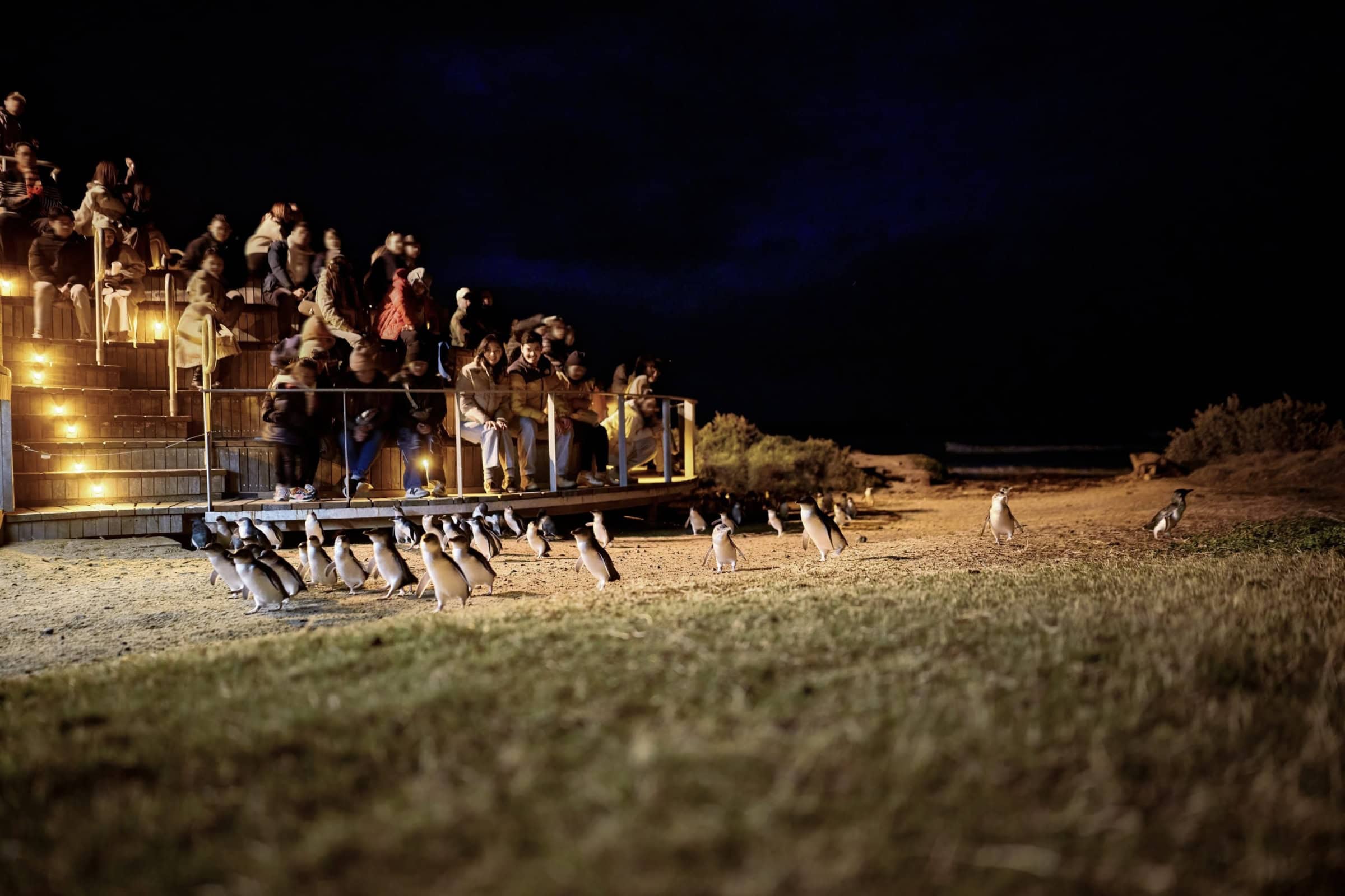 Artful Living | How Noctourism Became the Travel Industry's Brightest Trend