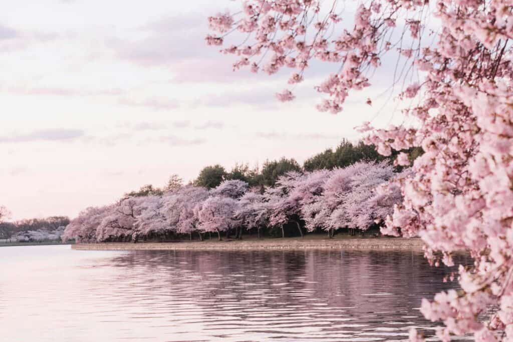 Artful Living | Artful Living City Guide: Washington, D.C.