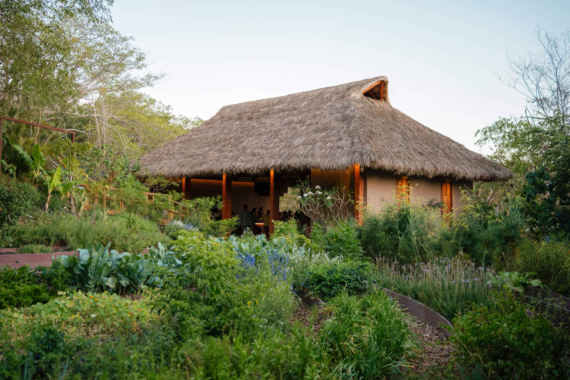 Artful Living | Inside the Female-Powered Culinary Universe Along Mexico’s Riviera Nayarit