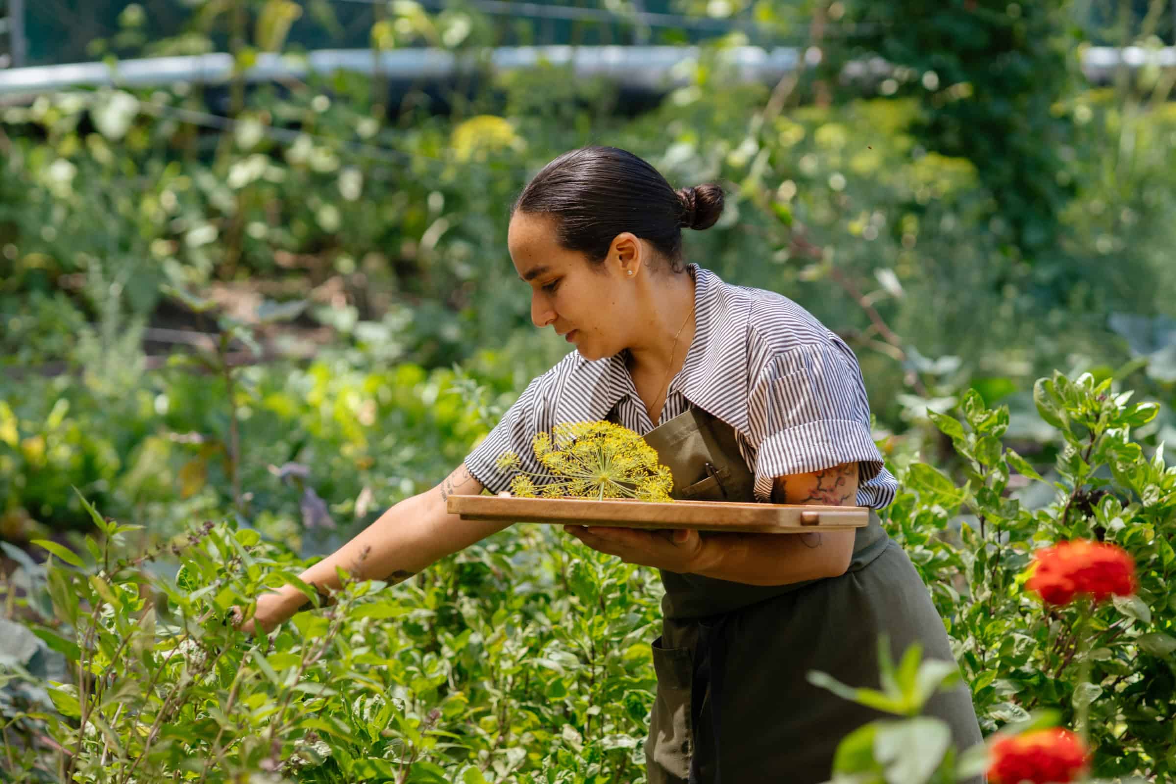 Artful Living | Inside the Female-Powered Culinary Universe Along Mexico’s Riviera Nayarit