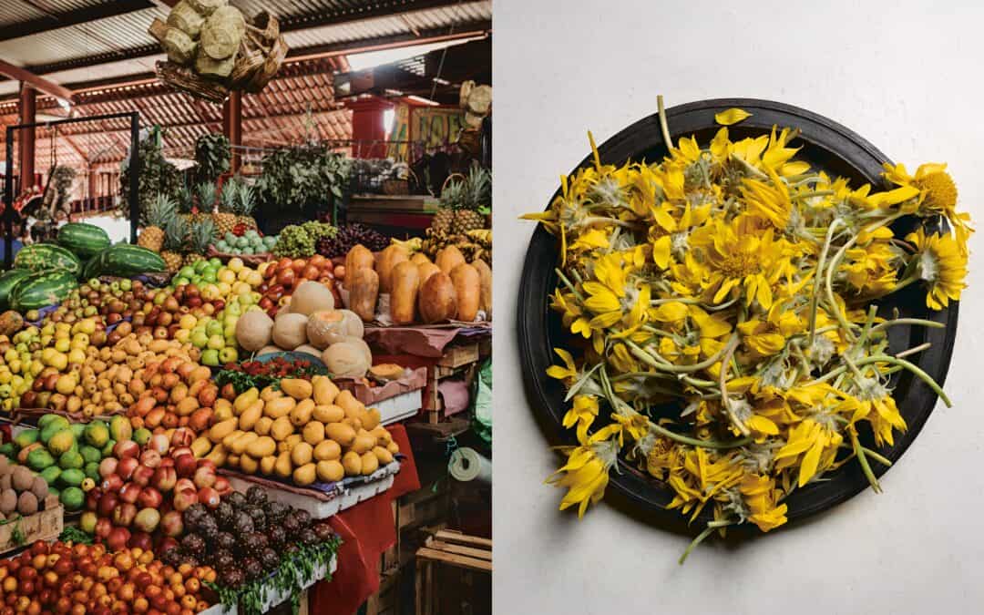 How Indigenous Cultures Hold the Original Blueprint for Healthy Living