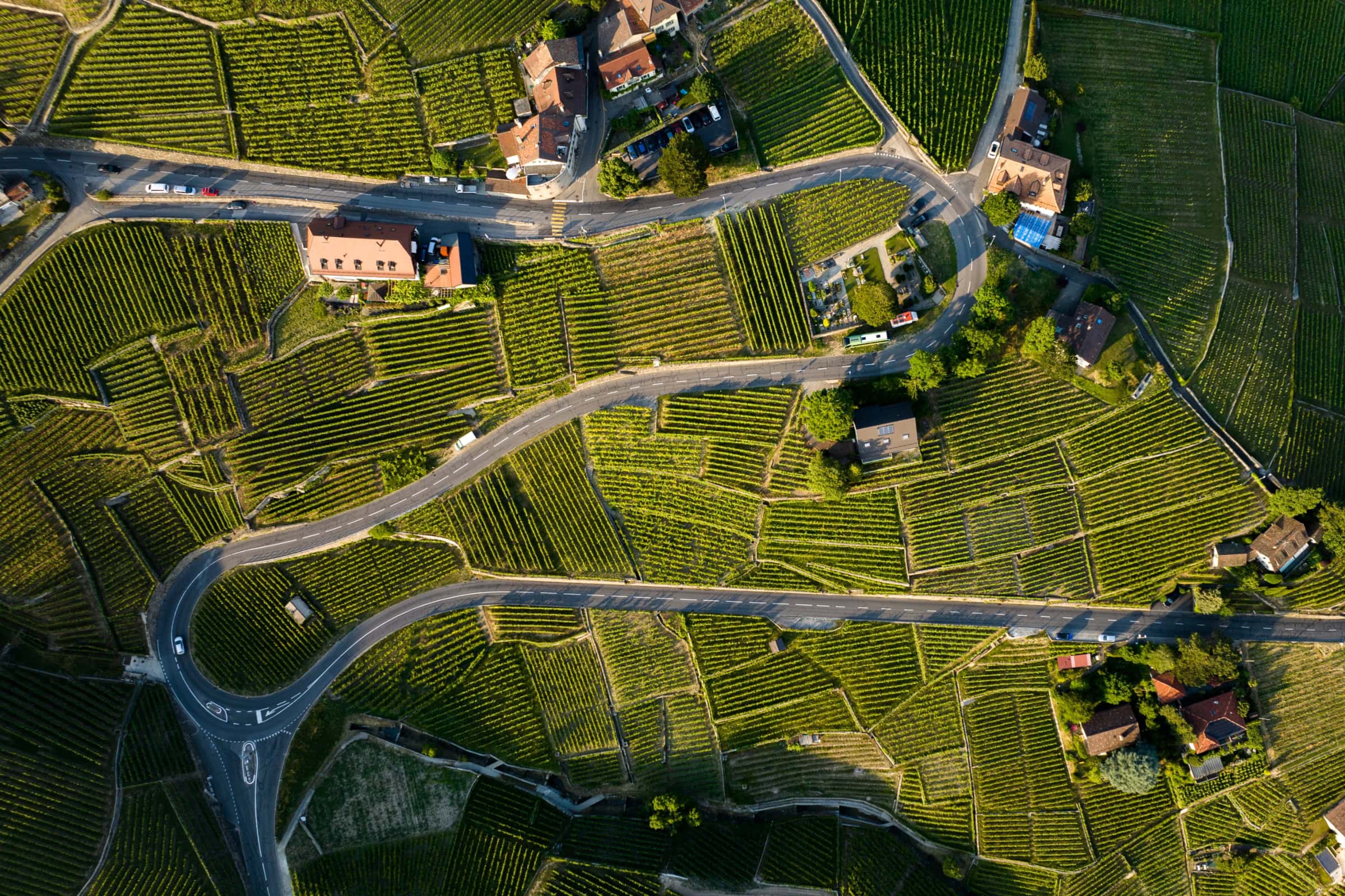 Artful Living | 5 Under-the-Radar Global Wine Regions to Visit Now