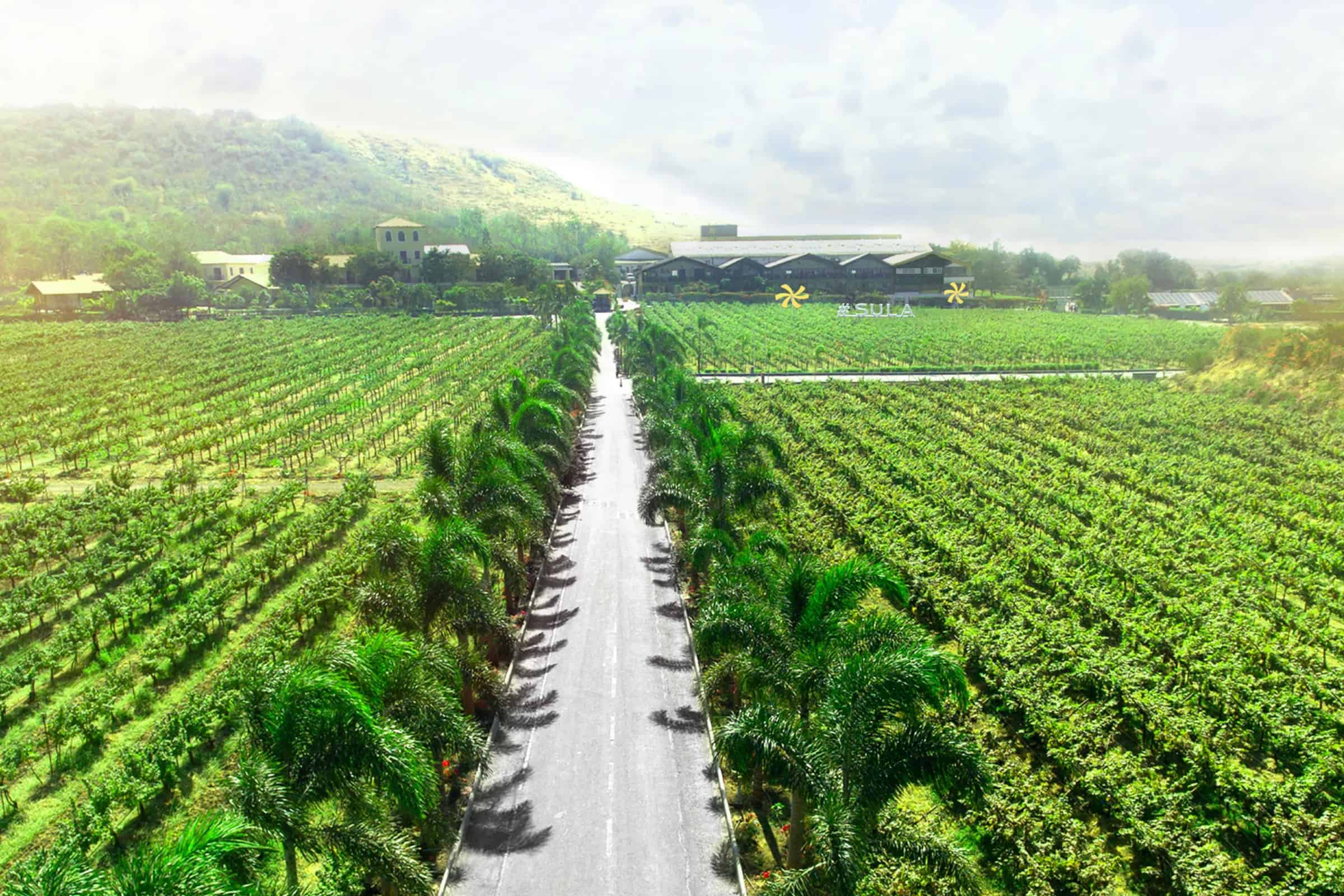 Artful Living | 5 Under-the-Radar Global Wine Regions to Visit Now