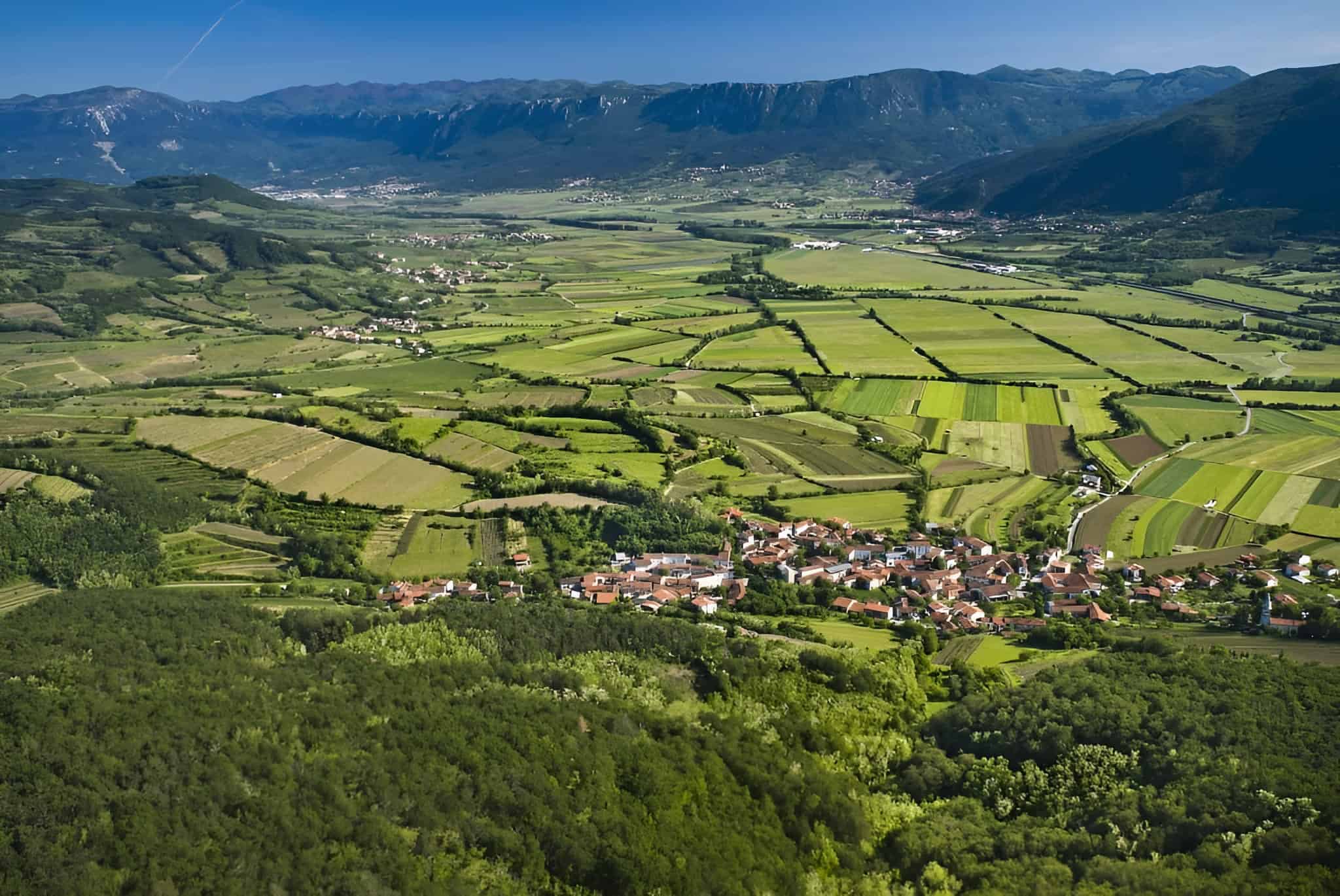 Artful Living | 5 Under-the-Radar Global Wine Regions to Visit Now