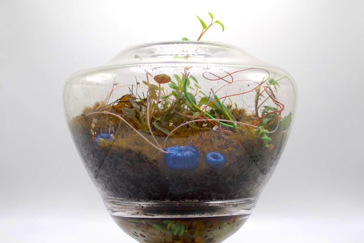 Artful Living | Embrace All Things Floral During Mia’s Annual Art in Bloom