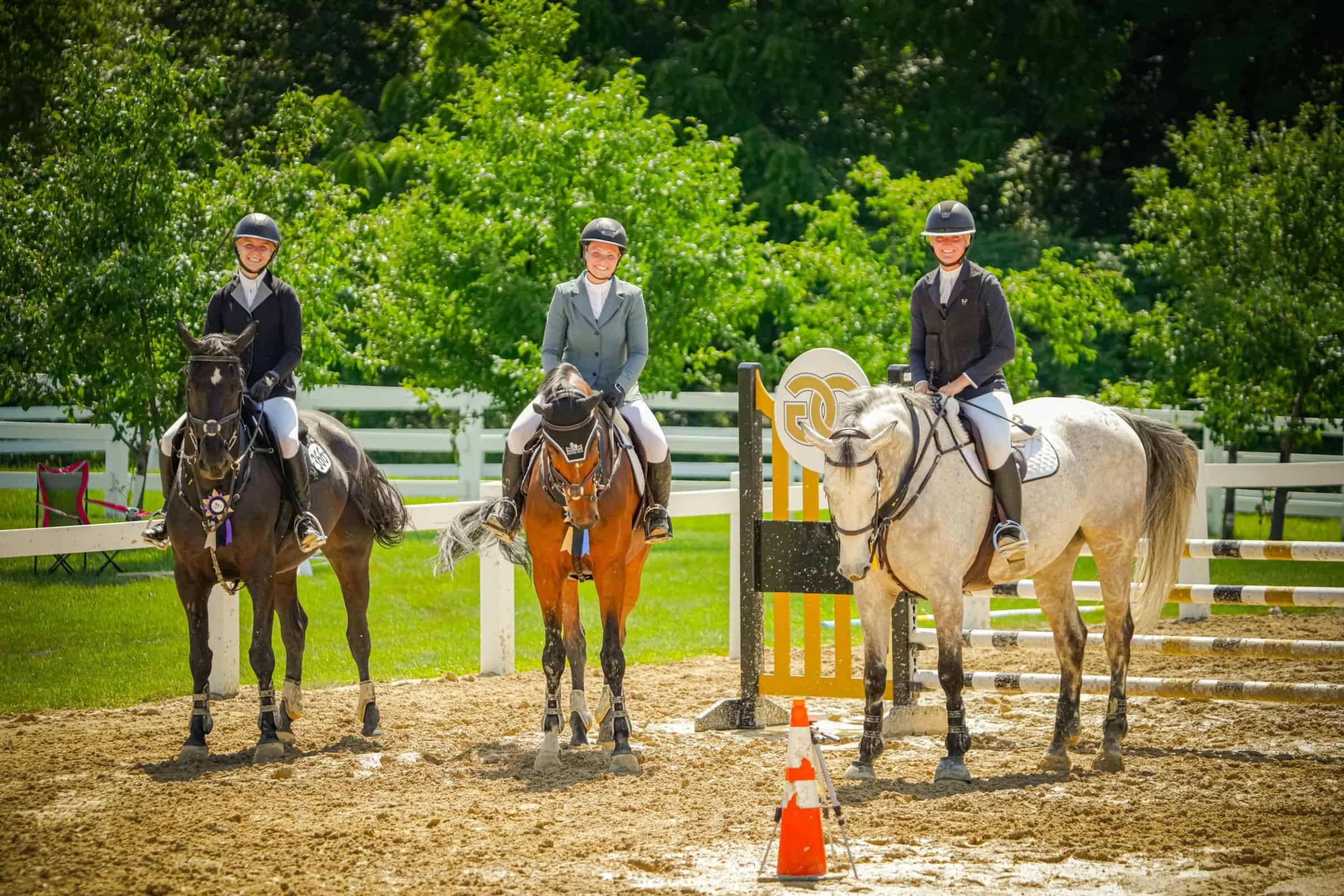 Experience Top-Notch Horse Riding and Training at Golden Gate ...