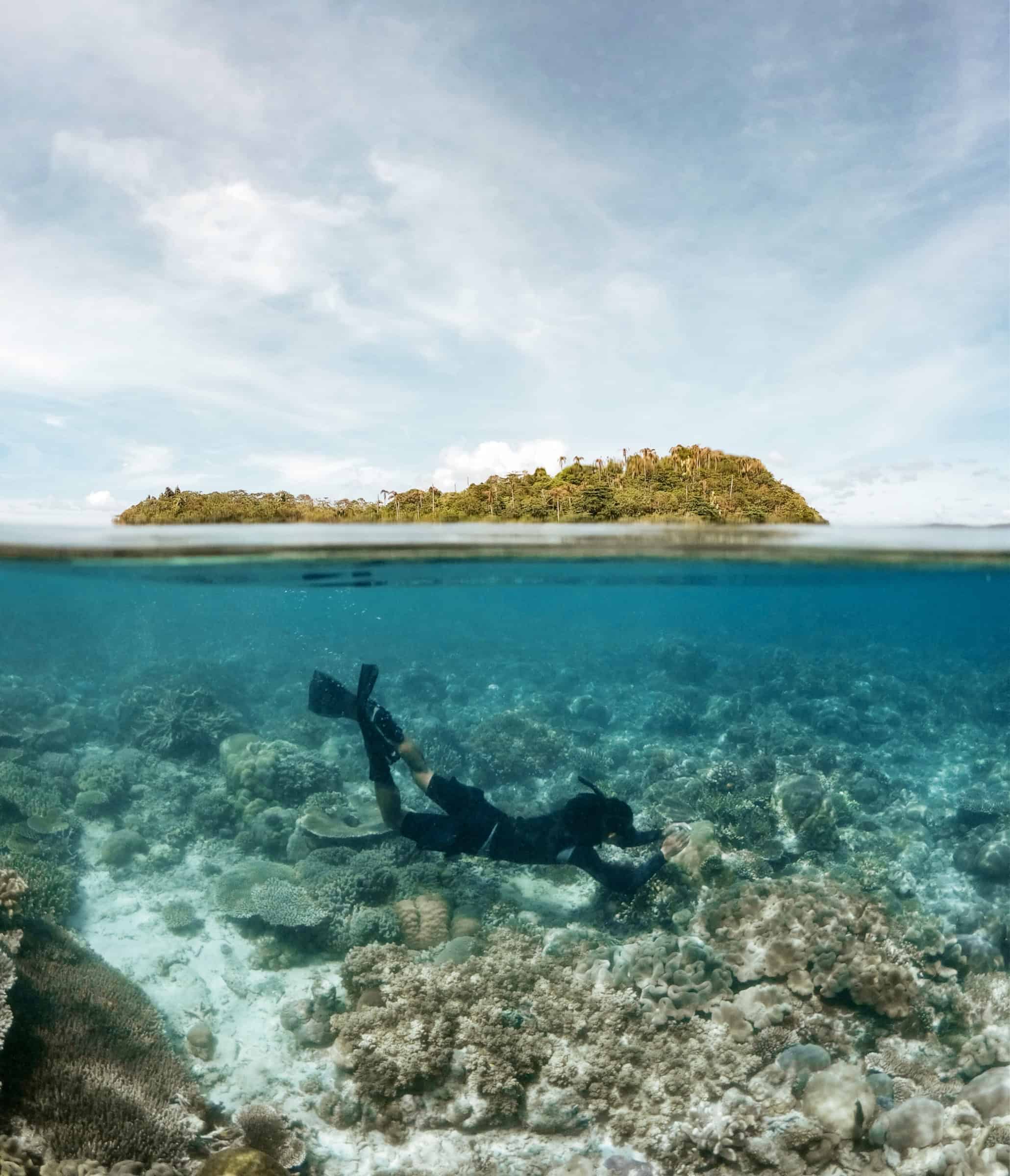 Artful Living | The Wild and Luxurious World of Marine Safaris
