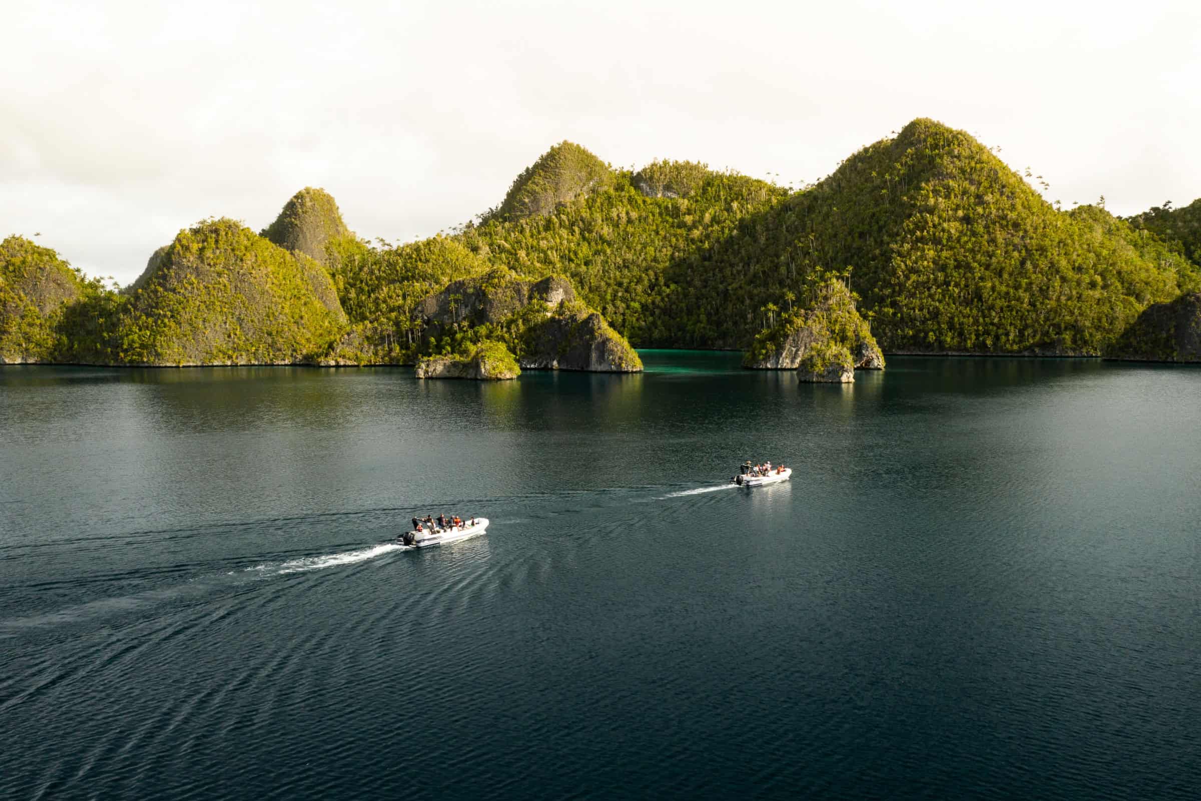 Artful Living | The Wild and Luxurious World of Marine Safaris