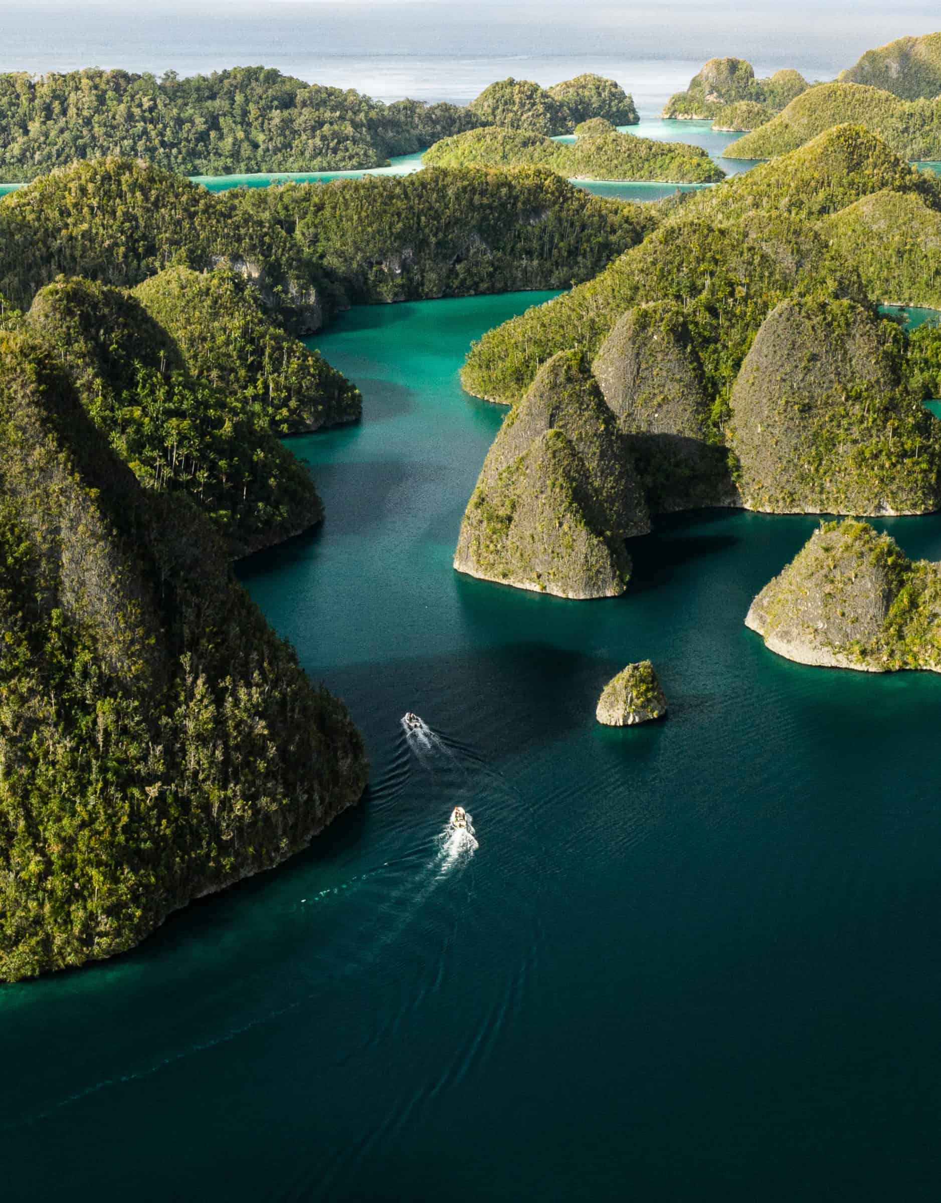Artful Living | The Wild and Luxurious World of Marine Safaris
