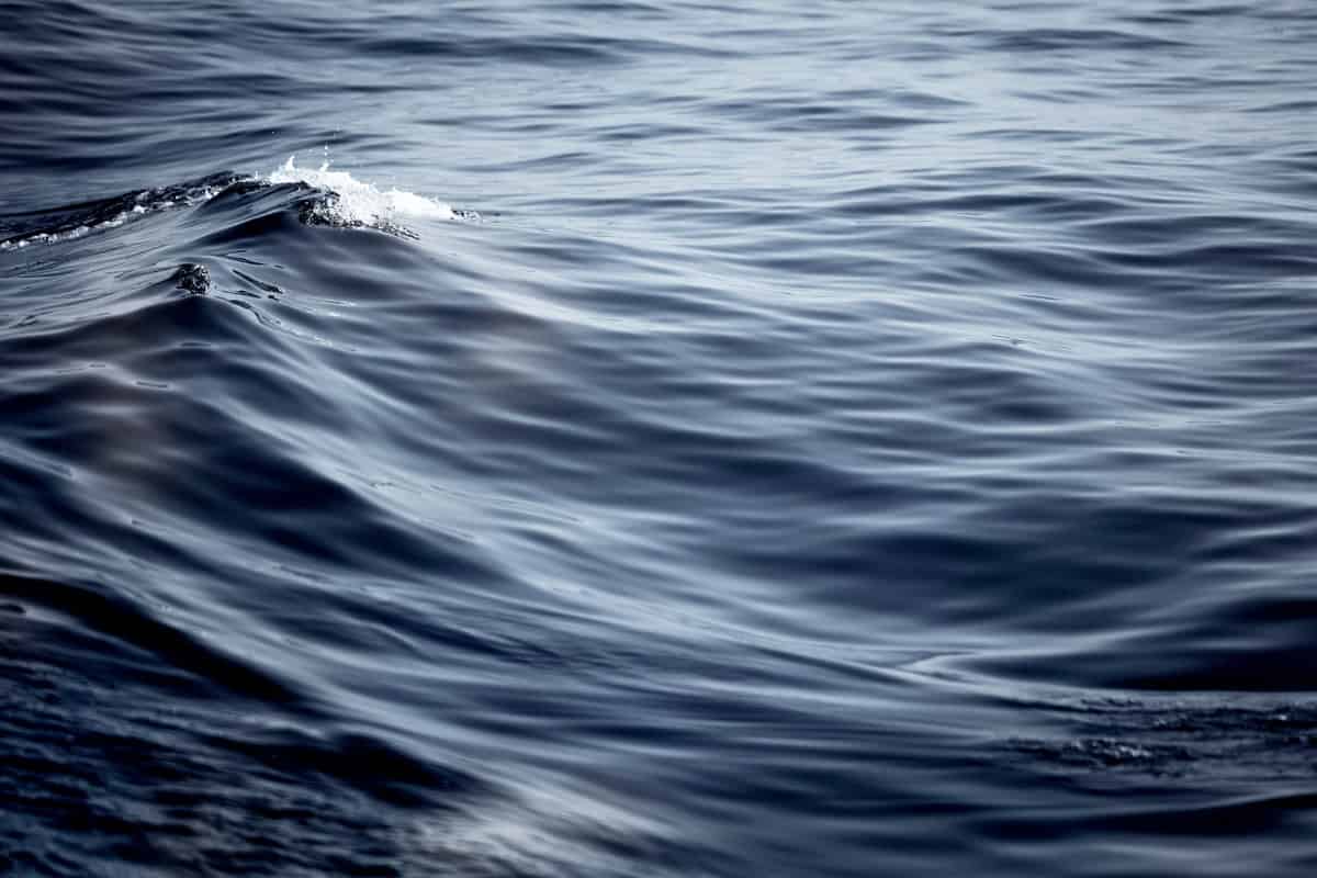 Artful Living | Don’t Miss: Karl Herber Fine Art Photography Show